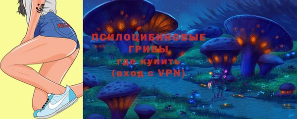 mix Осинники