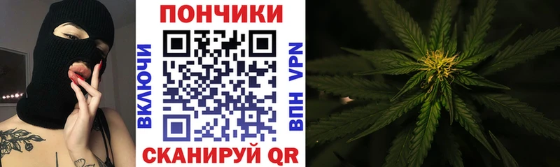 где купить наркоту  Приволжск  МАРИХУАНА VHQ 